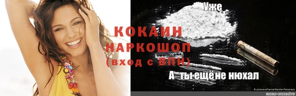 стаф Шали
